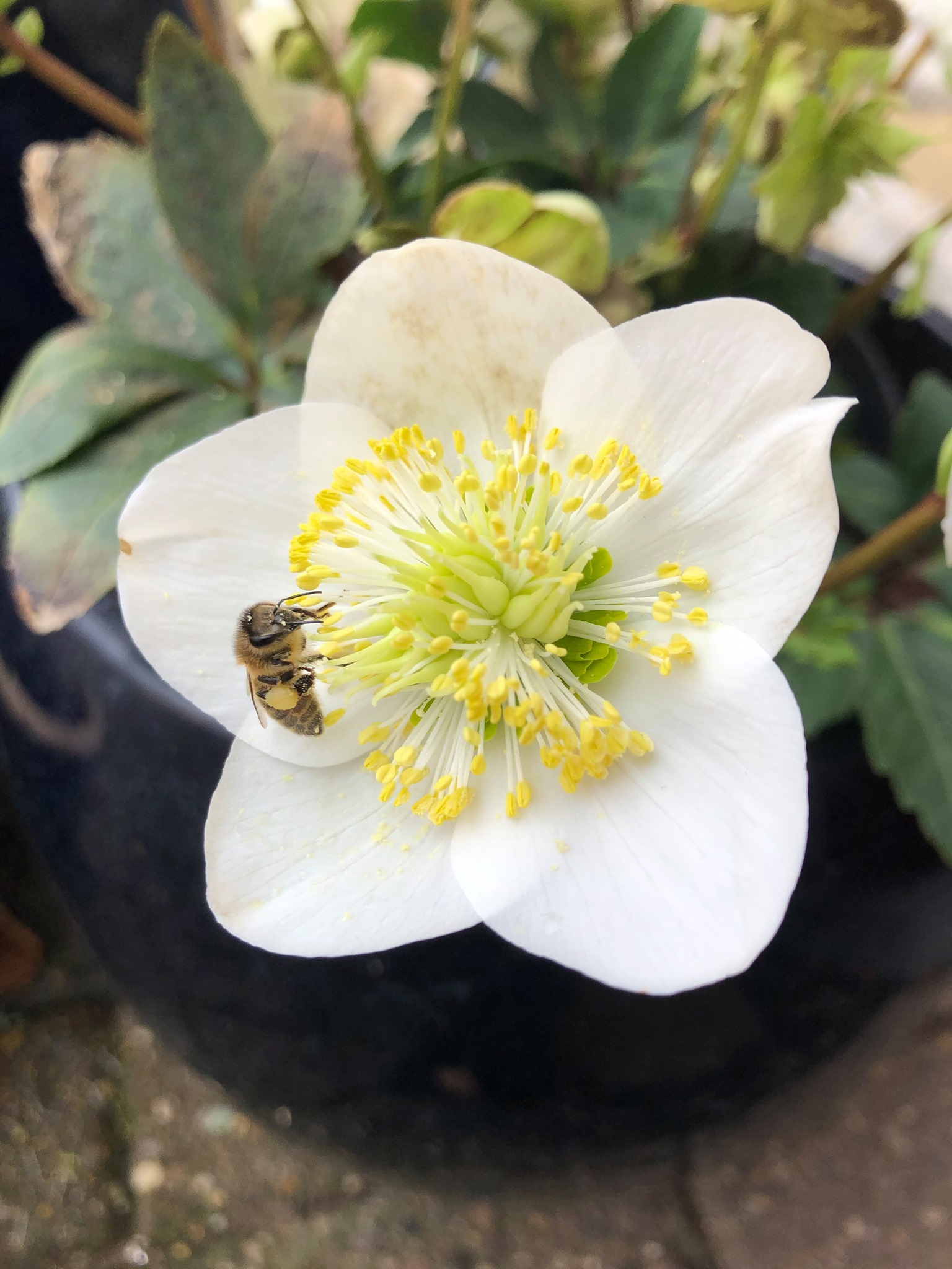 151095556 245009593877327 405208987897800885 N