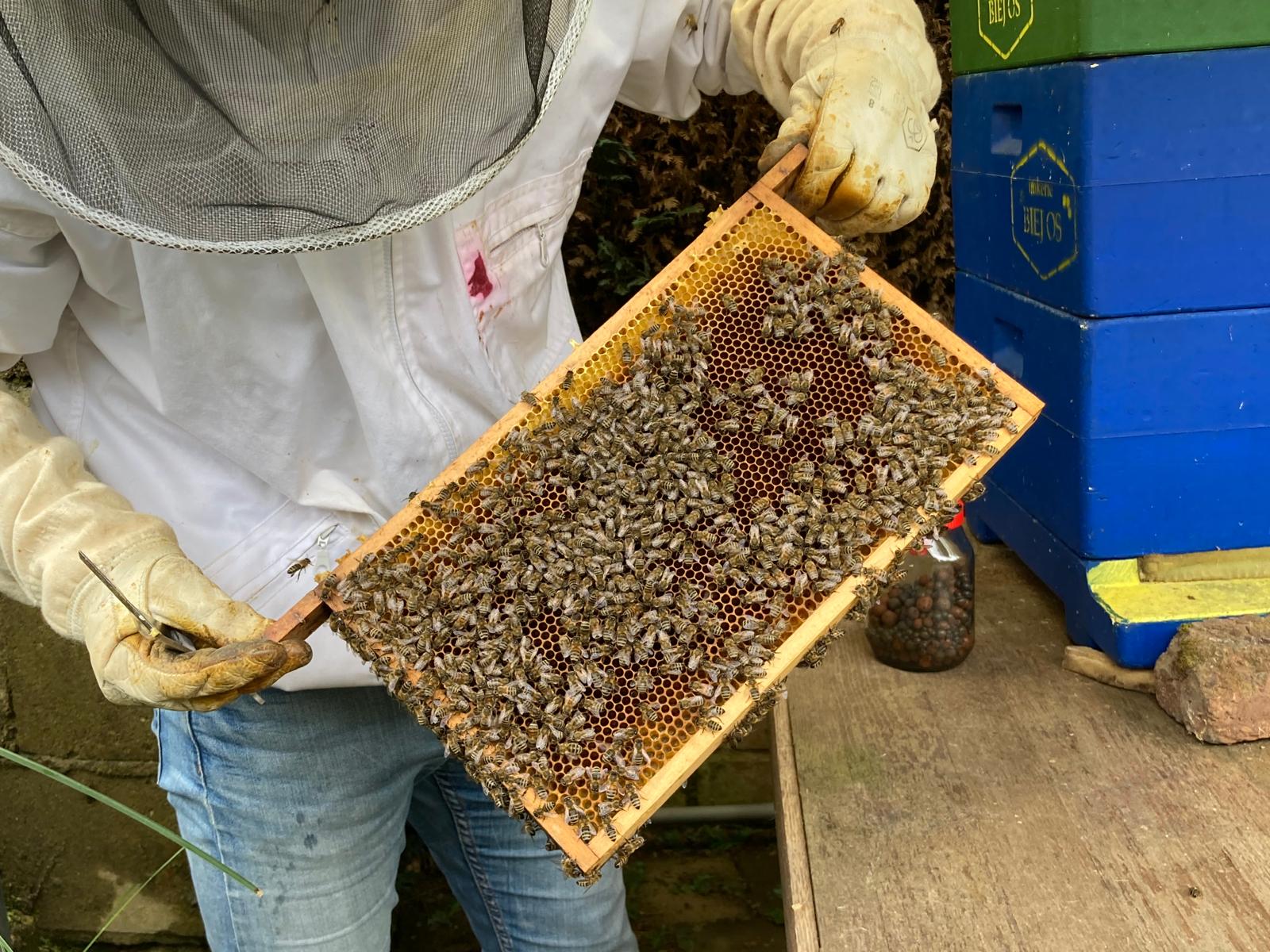 WhatsApp Image 2024 06 26 At 20.02.09